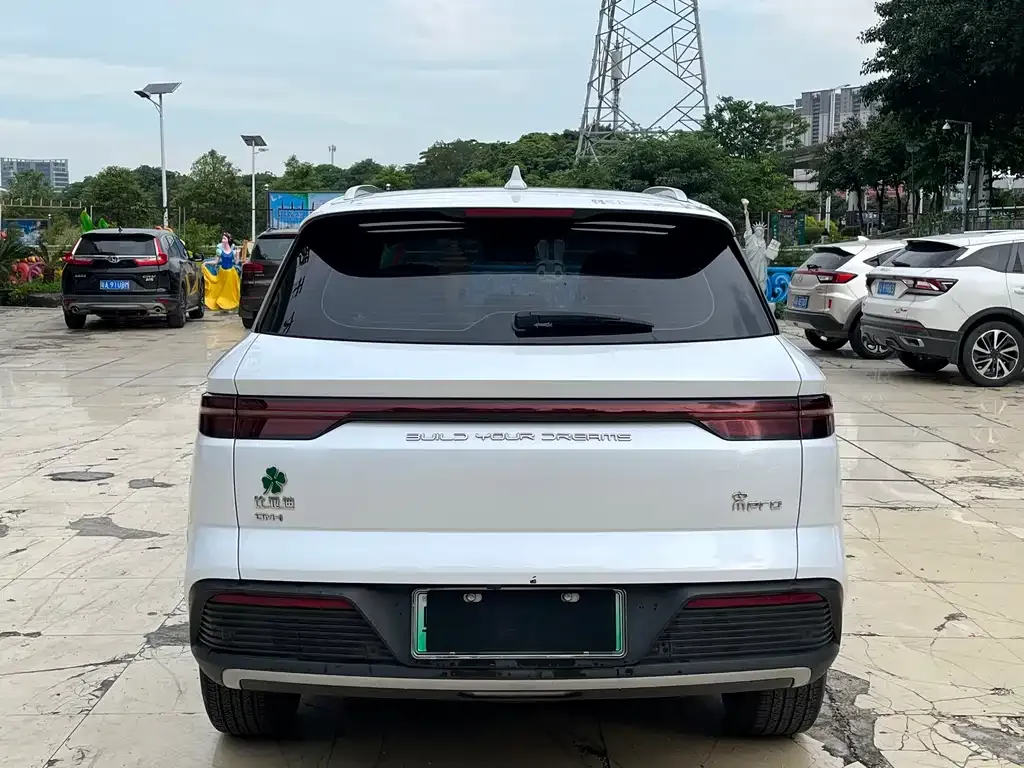 BYD Pro New Energy 2024 из CN, фото 6