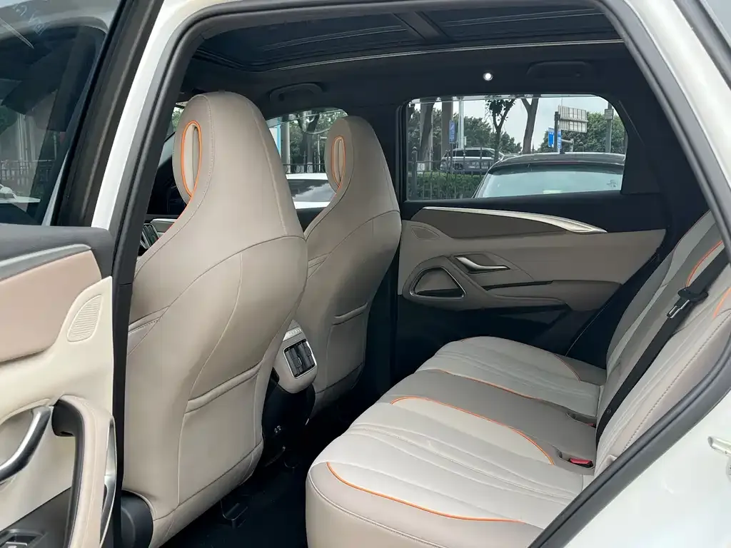 BYD Pro New Energy 2024 из CN, фото 3