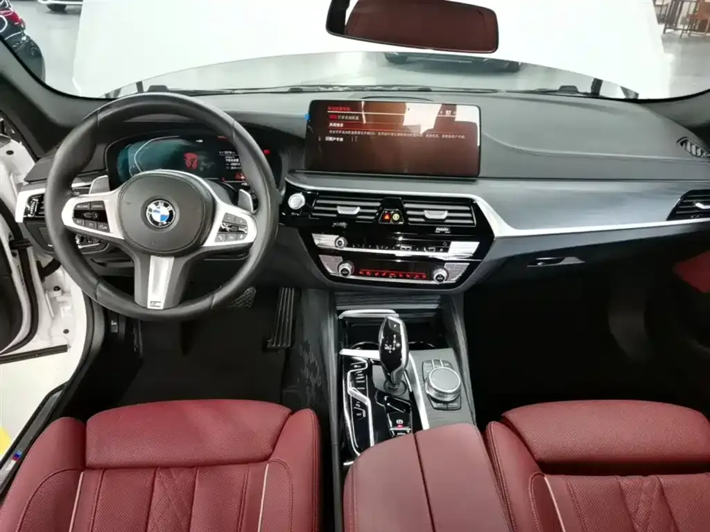 BMW 5 Series 2022 из CN, фото 8
