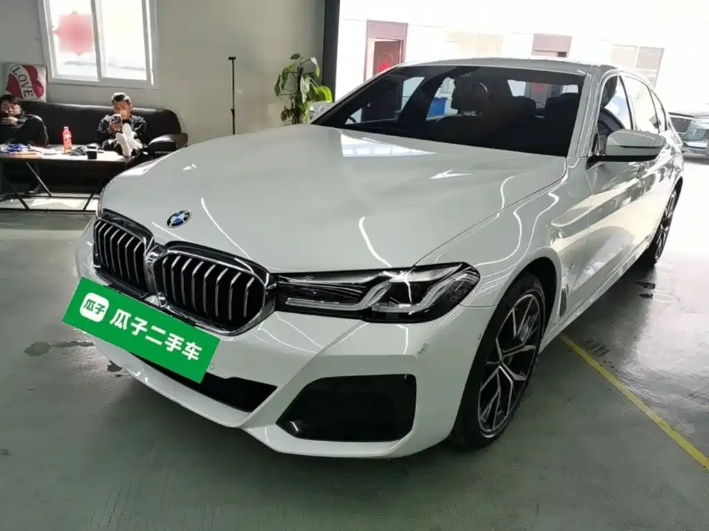 BMW 5 Series 2022 из CN, фото 10