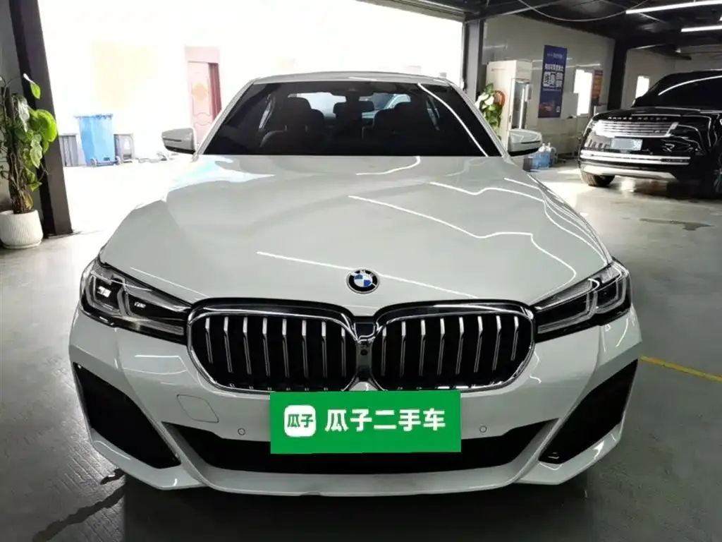 BMW 5 Series 2022 из CN, фото 3