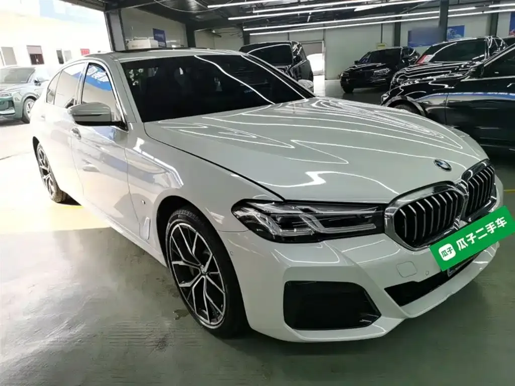BMW 5 Series 2022 из CN, фото 6