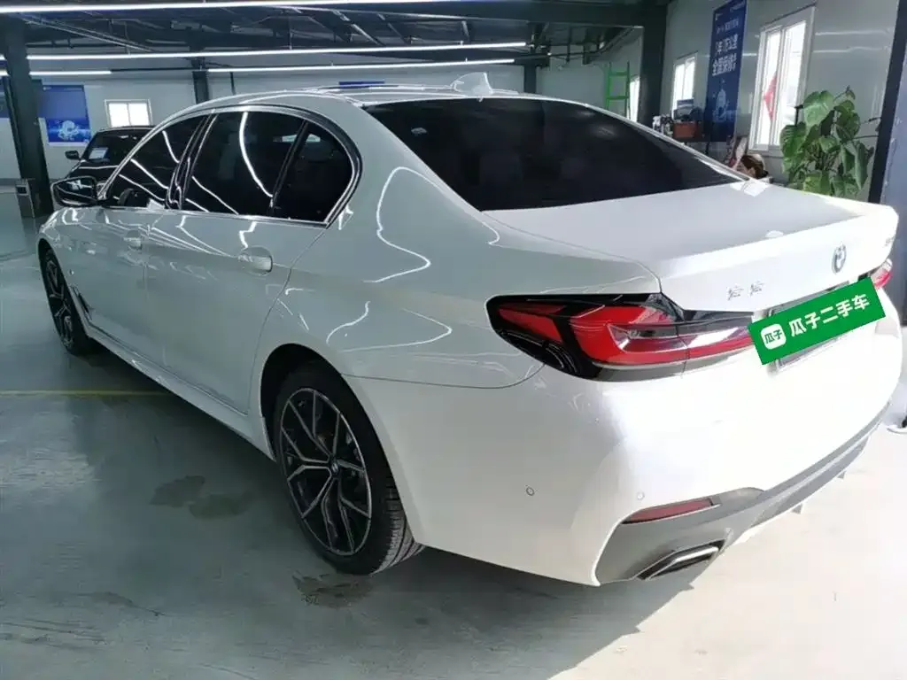 BMW 5 Series 2022 из CN, фото 9