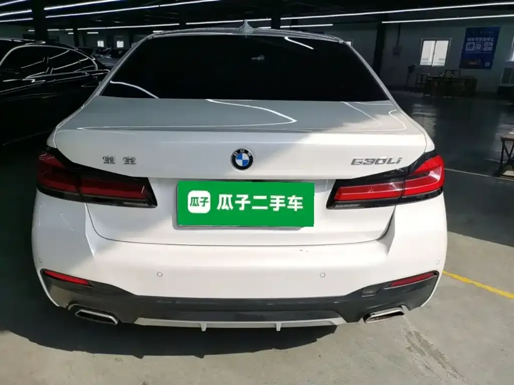 BMW 5 Series 2022 из CN, фото 4