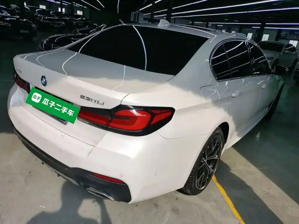 BMW 5 Series 2022 из CN, фото 2