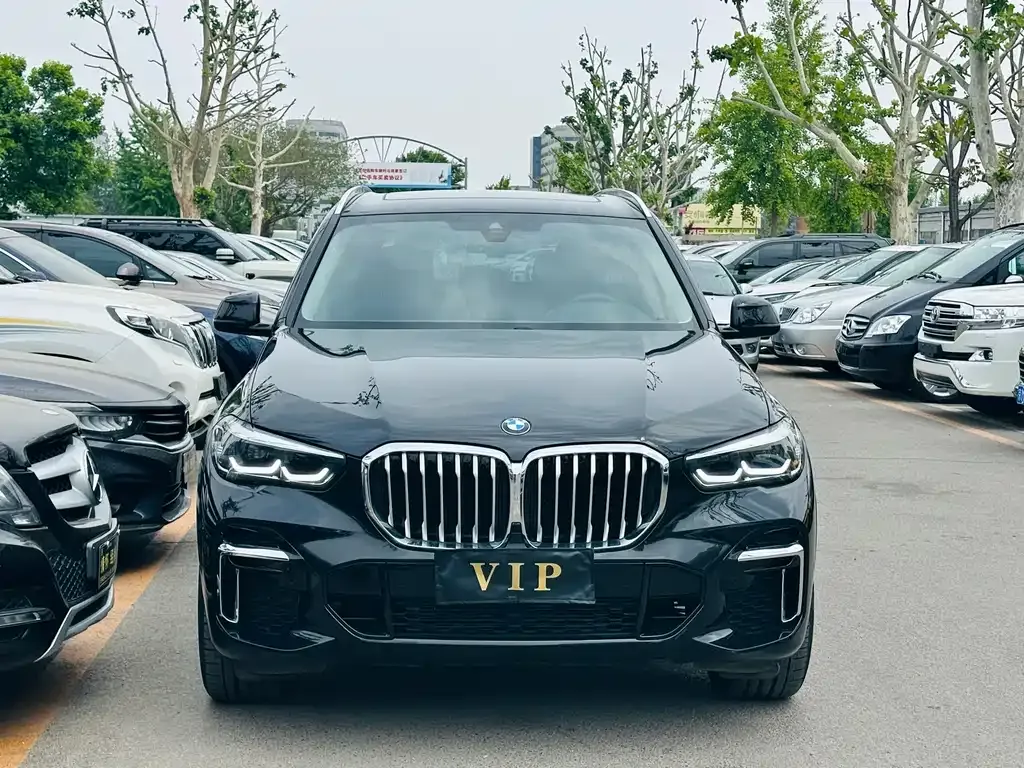 BMW X5 2023 из CN, фото 6