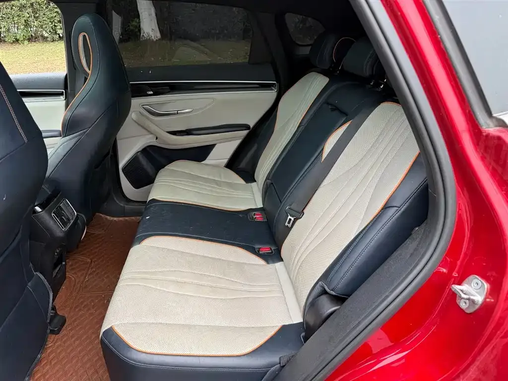 BYD PLUS New Energy 2021 из CN, фото 5