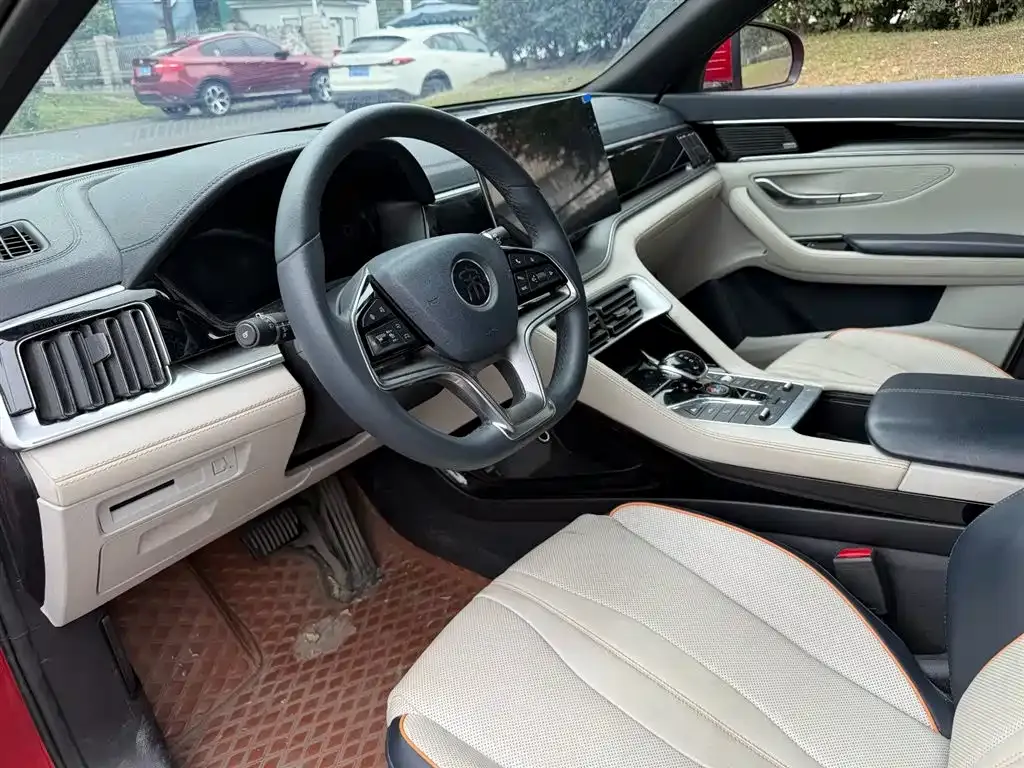 BYD PLUS New Energy 2021 из CN, фото 7