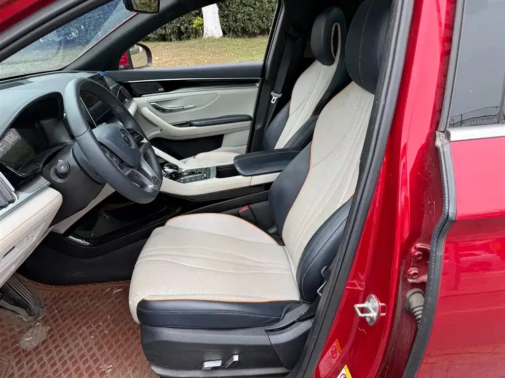 BYD PLUS New Energy 2021 из CN, фото 4