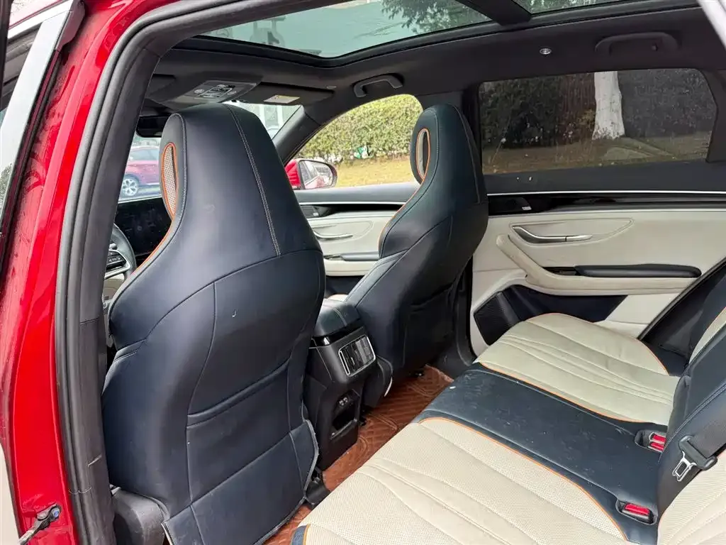 BYD PLUS New Energy 2021 из CN, фото 3