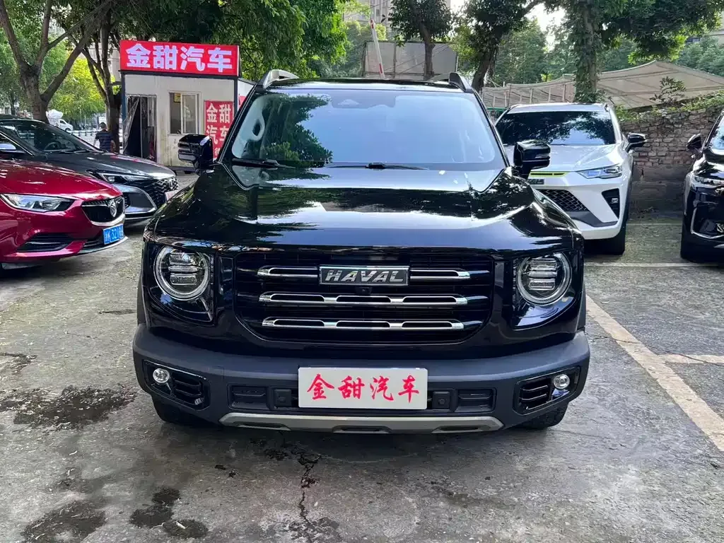 Haval Big Dog — фото 8