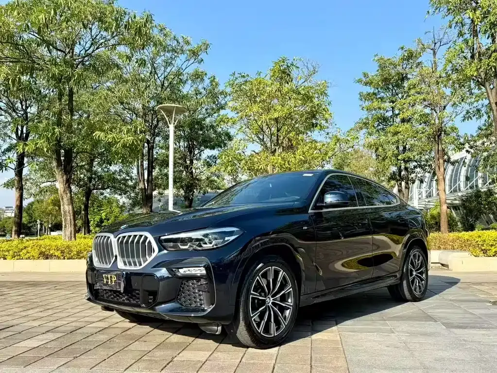 BMW X6