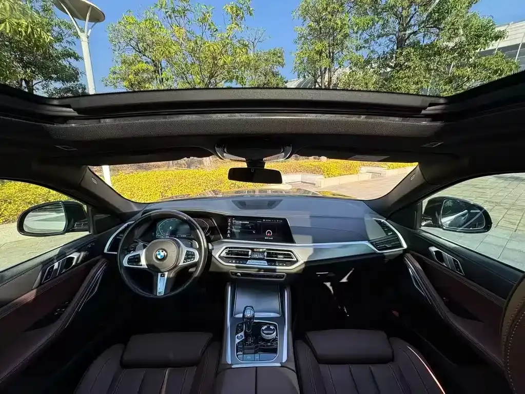 BMW X6 2021 из CN, фото 4