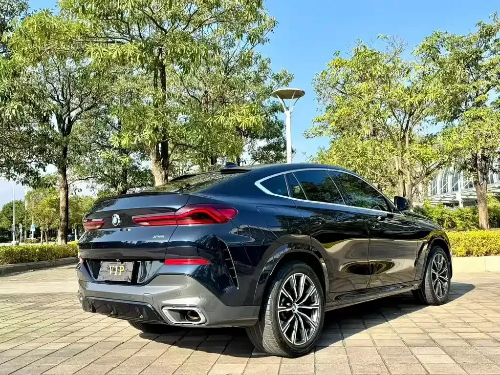 BMW X6 2021 из CN, фото 5