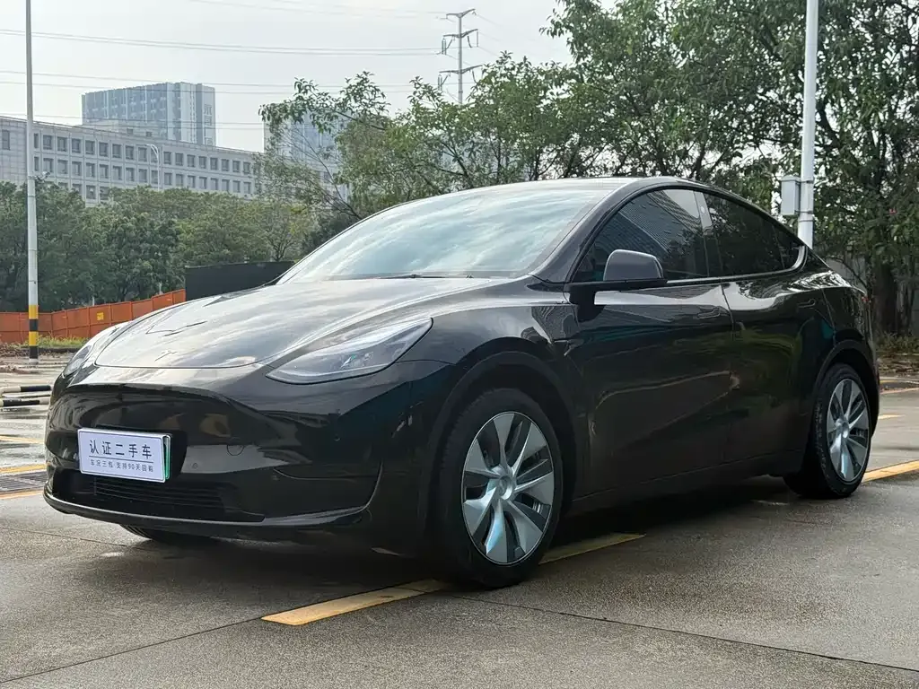Tesla Model Y — фото 6