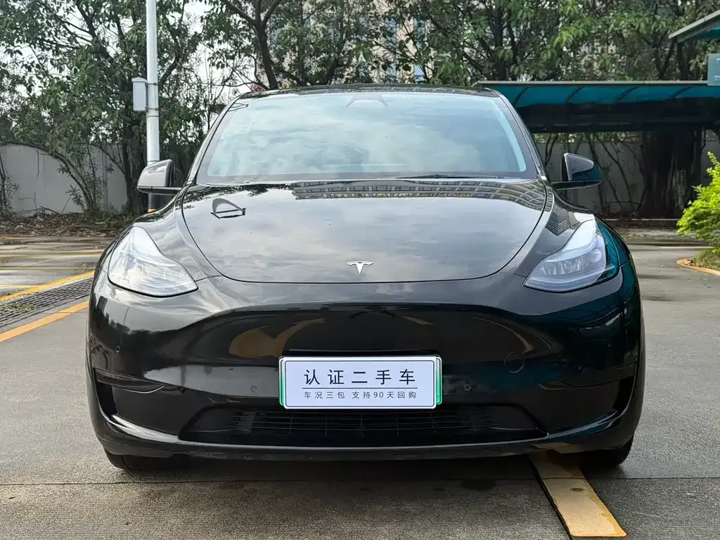 Tesla Model Y — фото 10