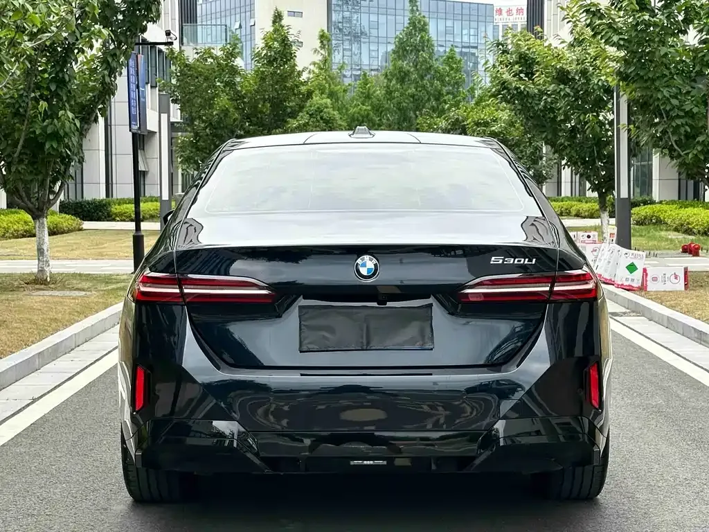 BMW 5 Series 2025 из CN, фото 5