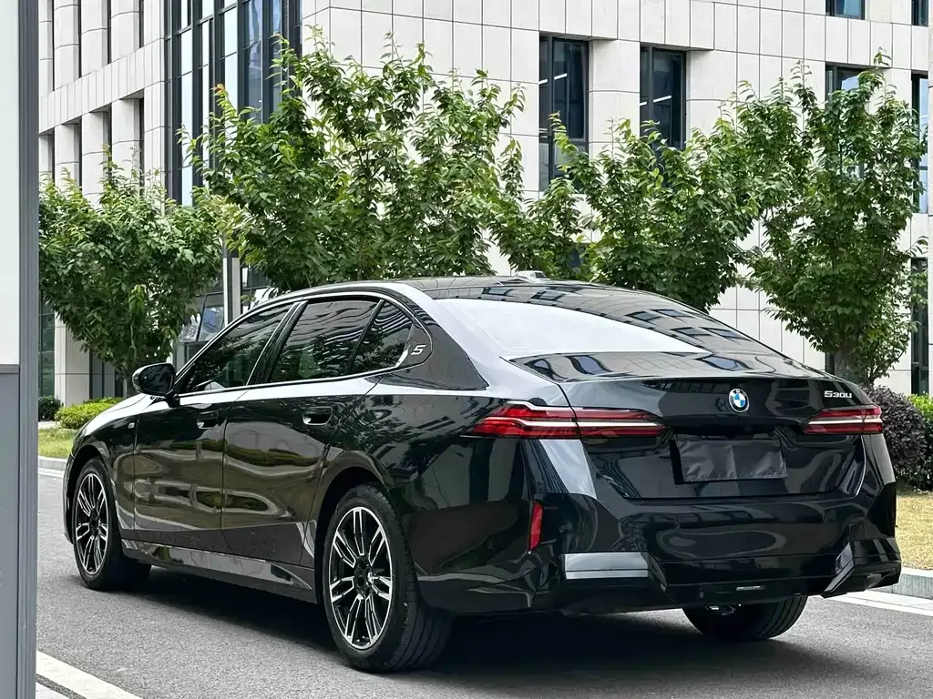 BMW 5 Series 2025 из CN, фото 8
