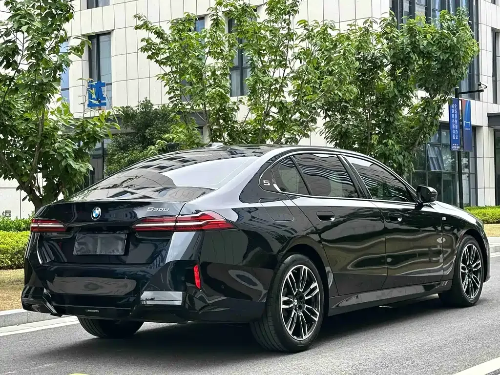 BMW 5 Series 2025 из CN, фото 10