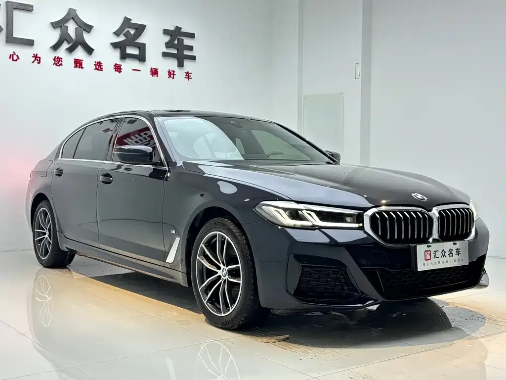 BMW 5 Series 2023 из CN, фото 6