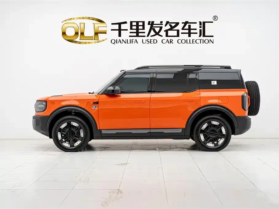 Ford Smart Fun Horse 2025 из CN, фото 9