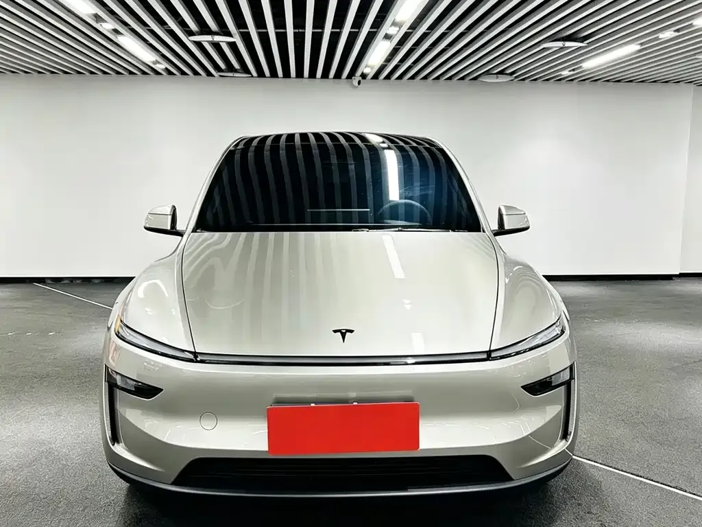 Tesla Model Y L 2025 из CN, фото 6