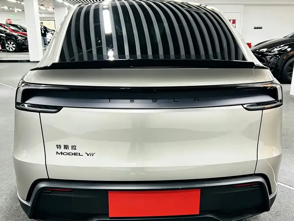 Tesla Model Y L 2025 из CN, фото 7