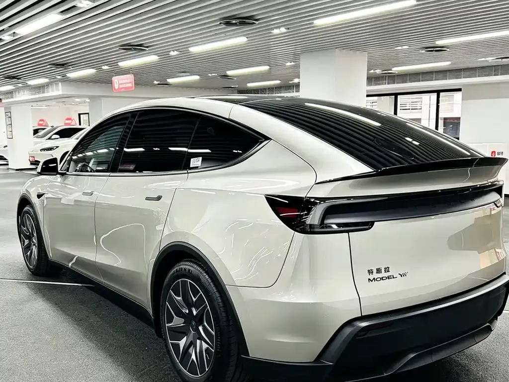Tesla Model Y L 2025 из CN, фото 4