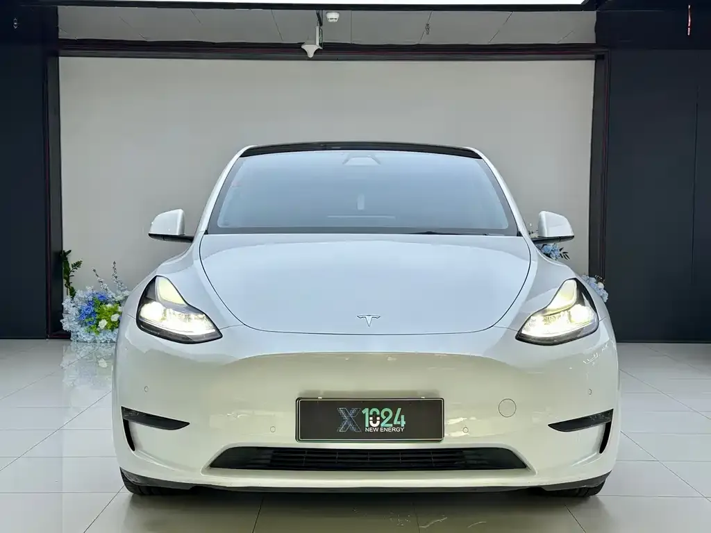 Tesla Model Y — фото 2