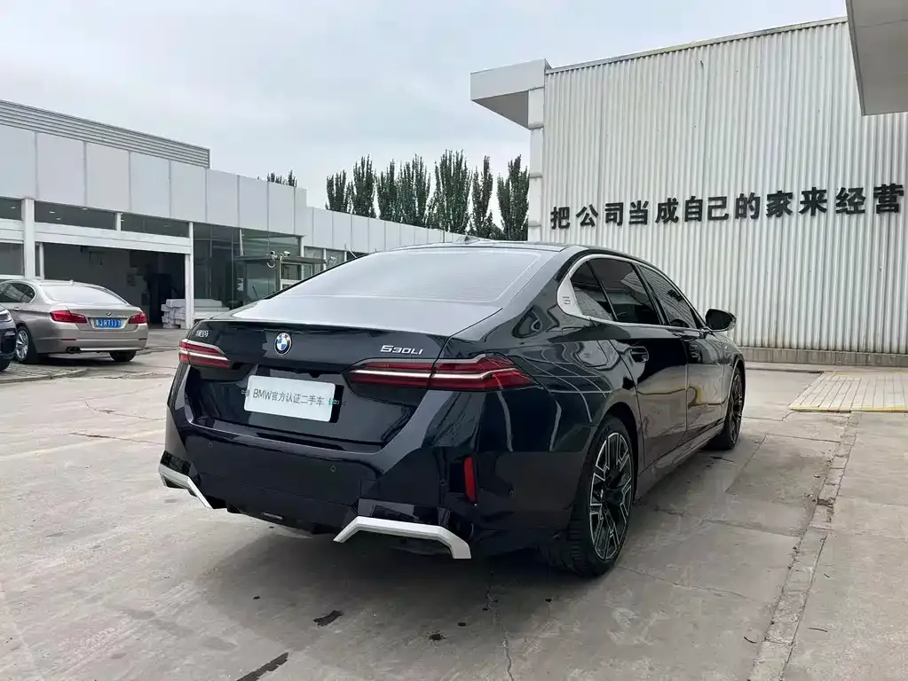 BMW 5 Series 2024 из CN, фото 6