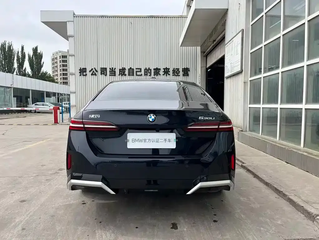 BMW 5 Series 2024 из CN, фото 9