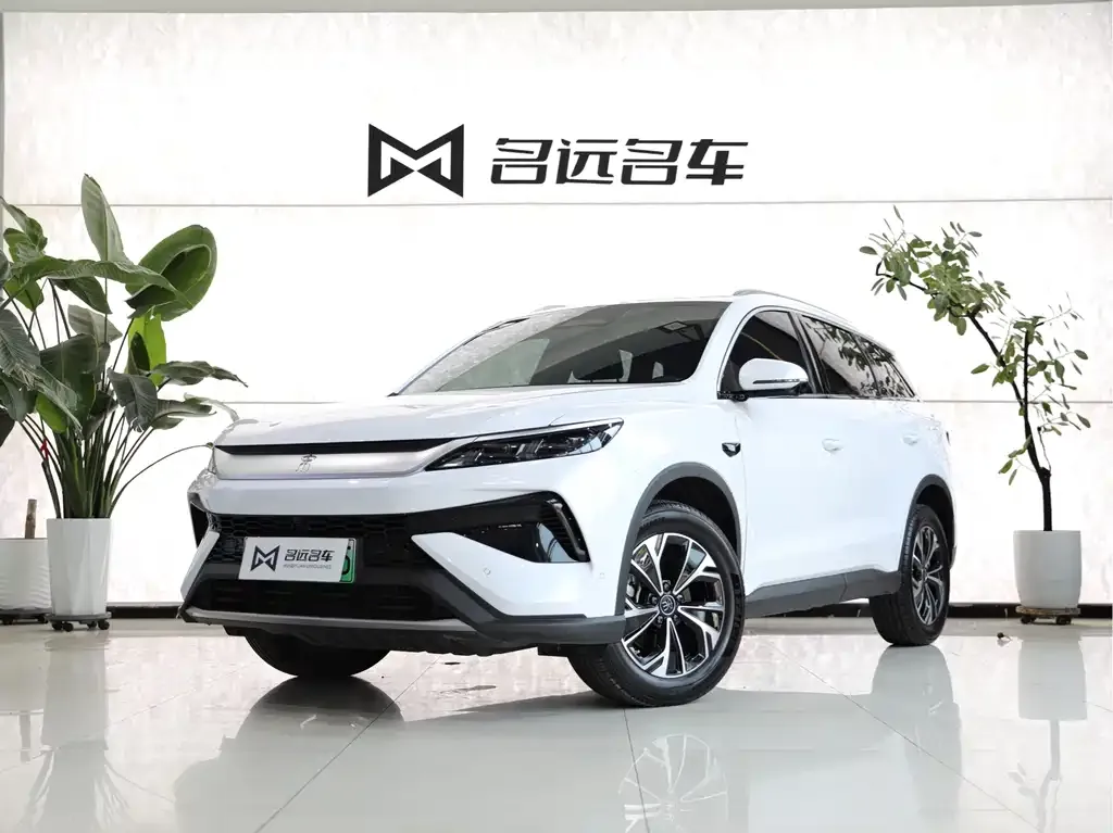 BYD Pro New Energy — фото 1