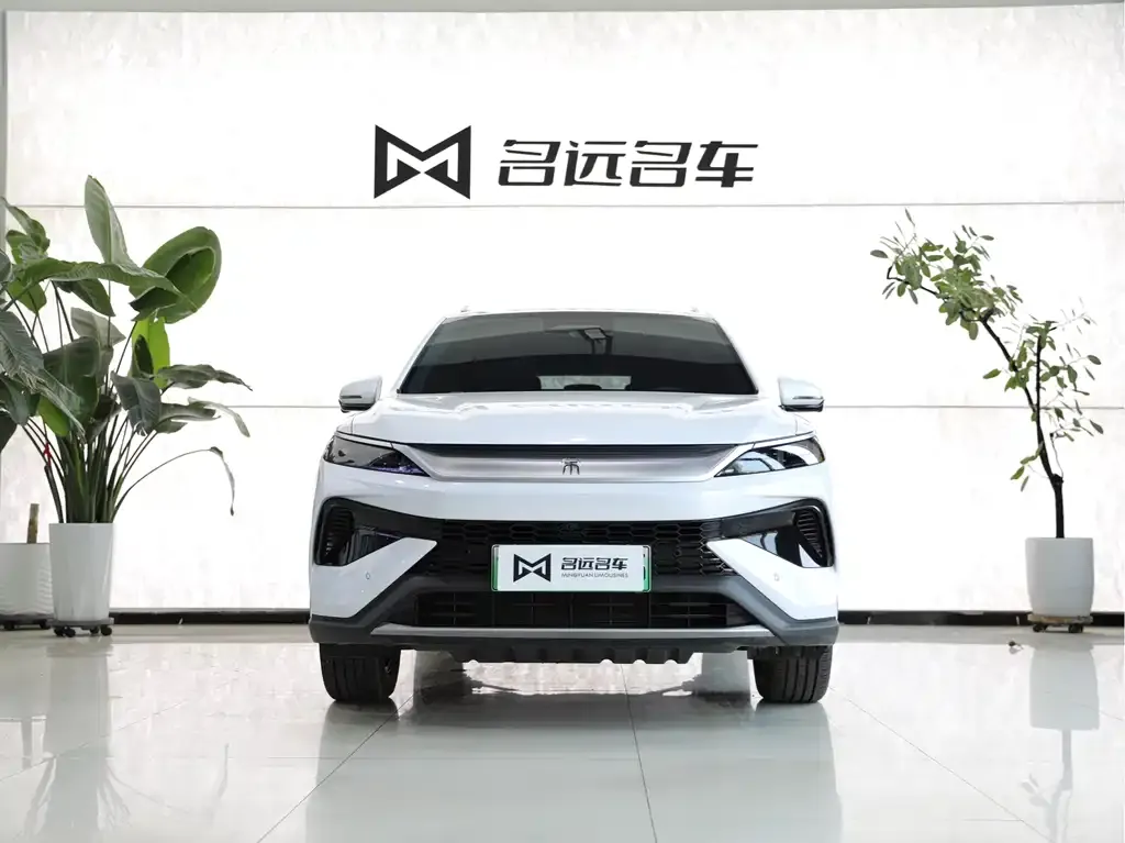 BYD Pro New Energy — фото 4