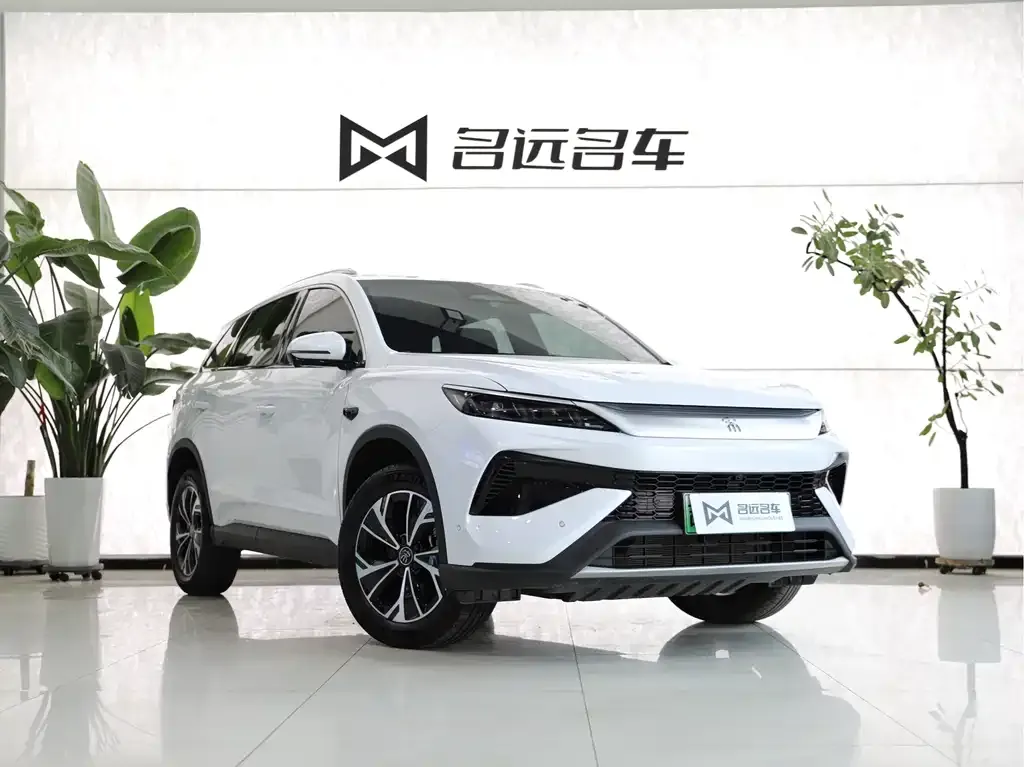 BYD Pro New Energy — фото 9