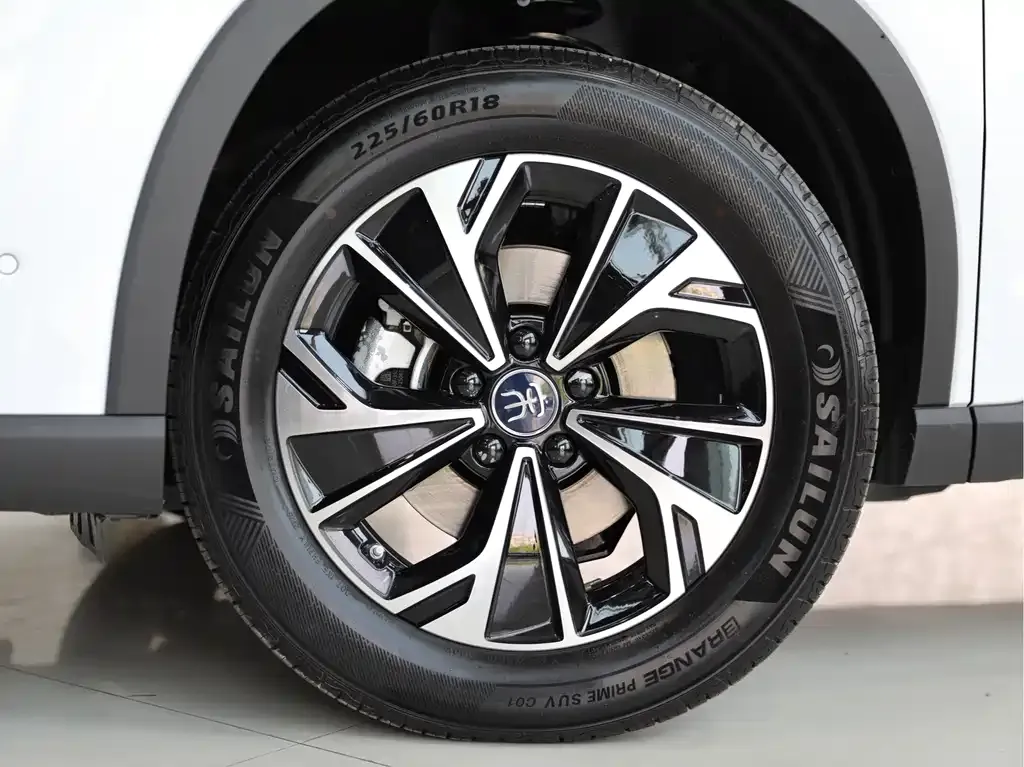 BYD Pro New Energy — фото 8
