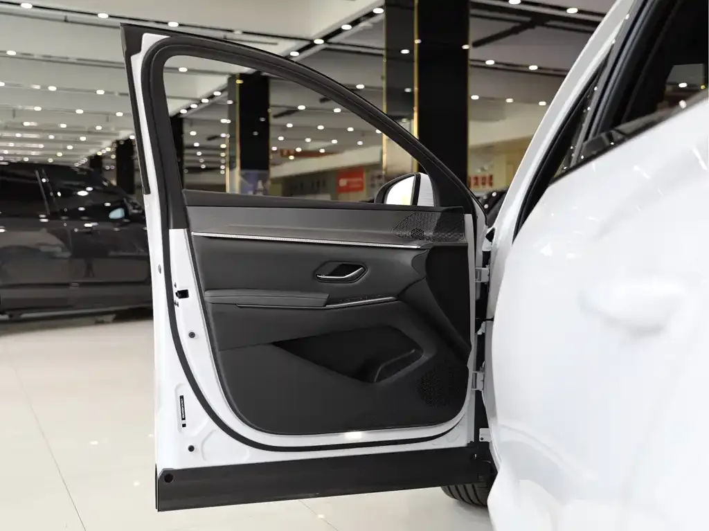 BYD Pro New Energy — фото 5