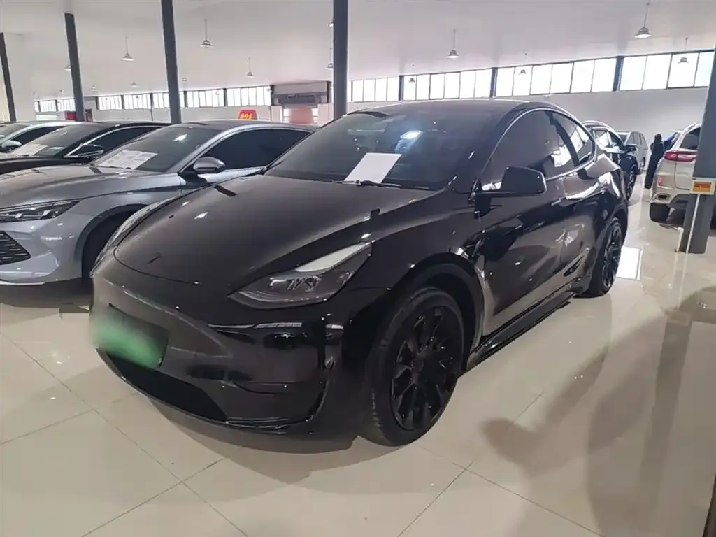 Tesla Model Y — фото 1