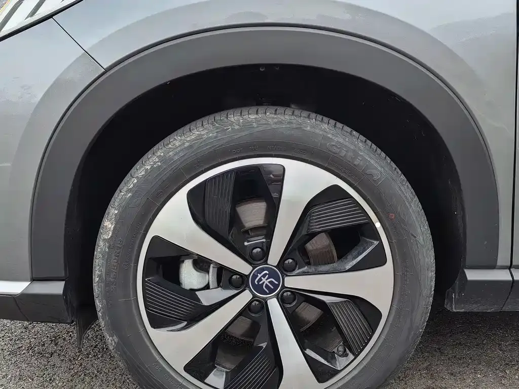 BYD PLUS New Energy 2023 из CN, фото 6