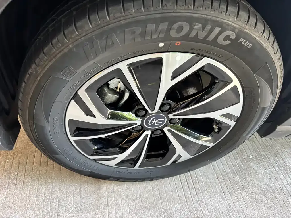 BYD Pro New Energy — фото 2