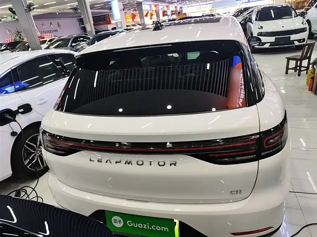 Leapmotor C11 2023 из CN, фото 4