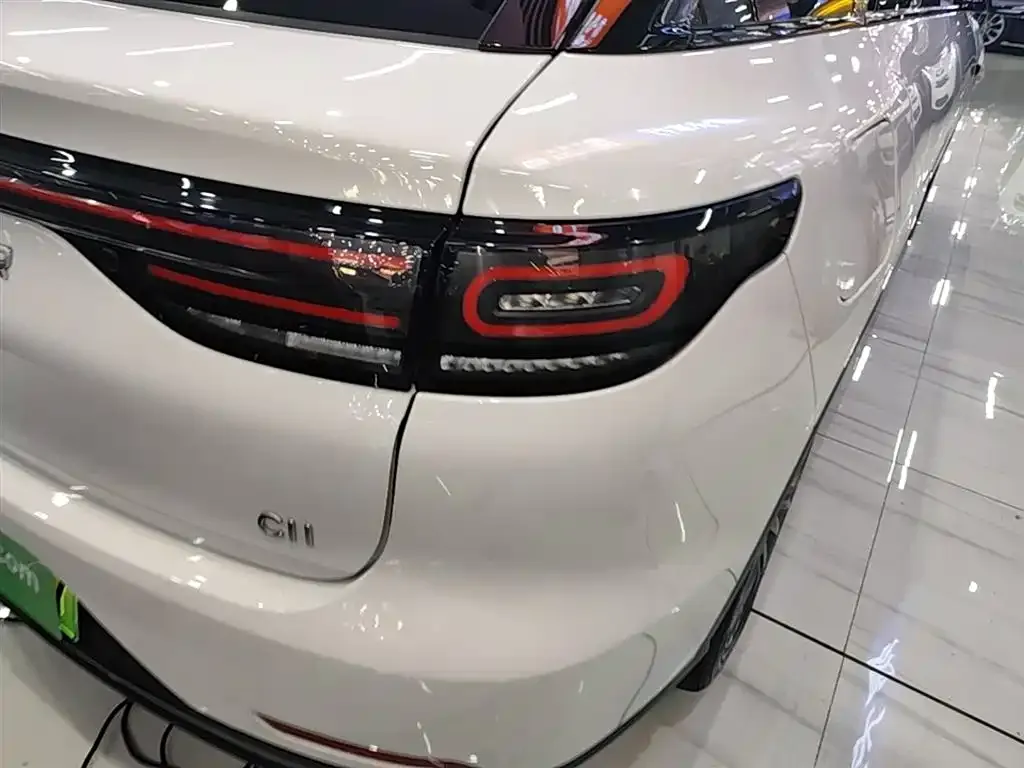 Leapmotor C11 2023 из CN, фото 2
