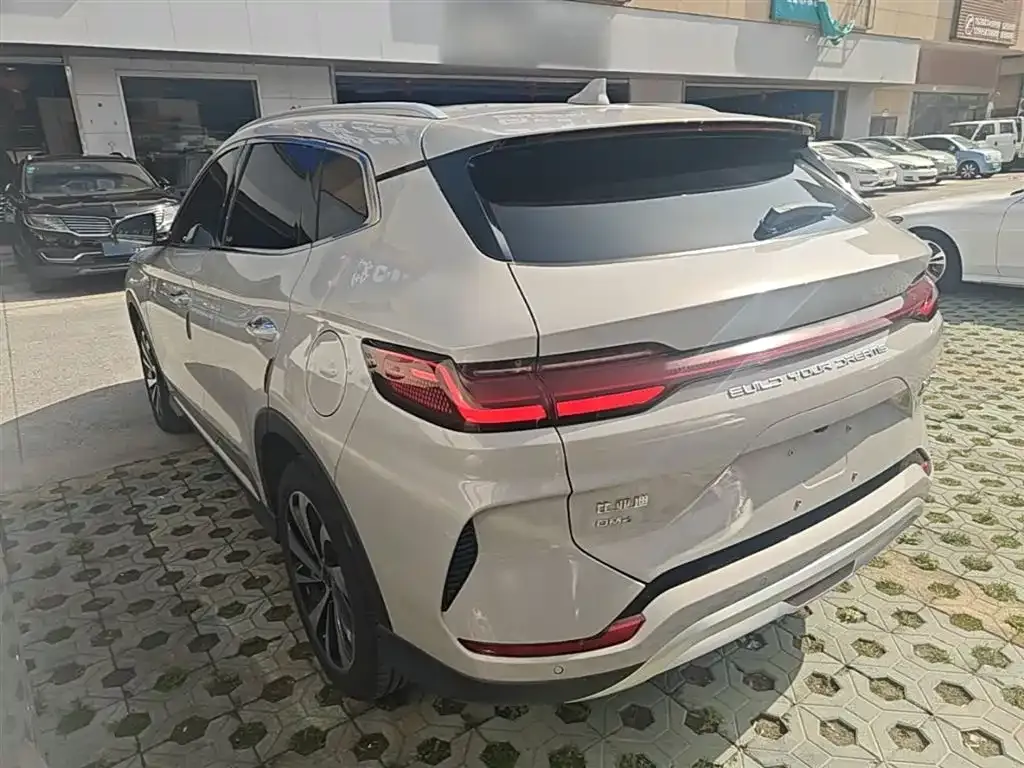 BYD PLUS New Energy — фото 4