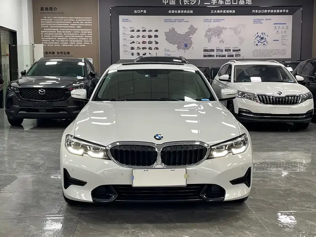 BMW 3 Series 2022 из CN, фото 9