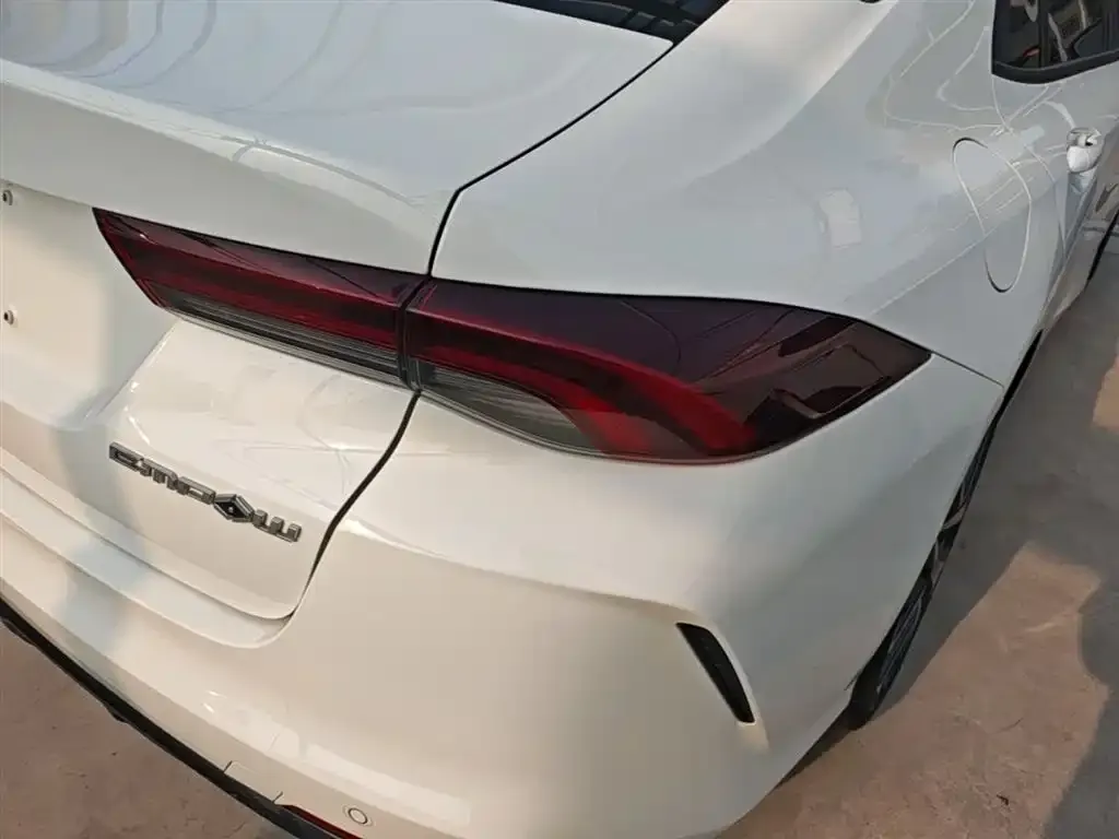 GAC Motor Shadow Leopard — фото 2