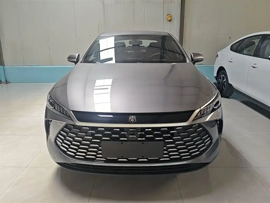 BYD Qin PLUS — фото 2