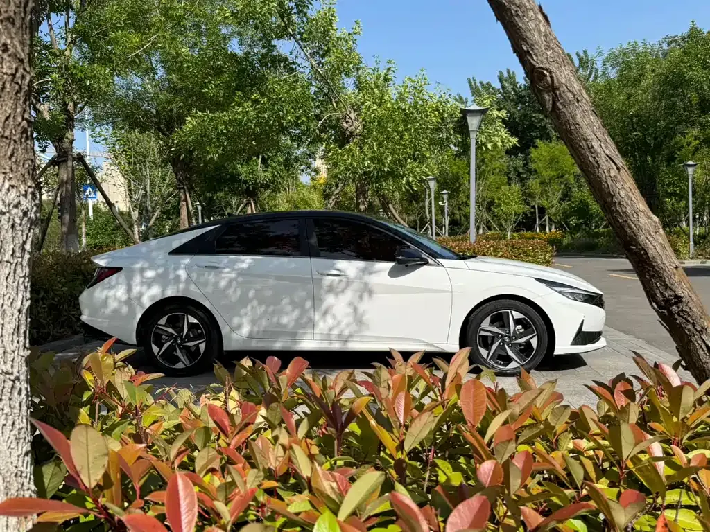 Hyundai Elantra — фото 6
