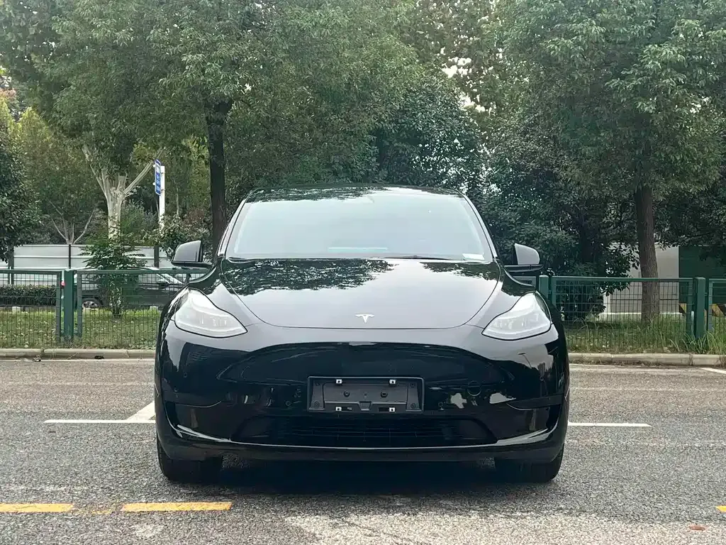 Tesla Model Y — фото 10