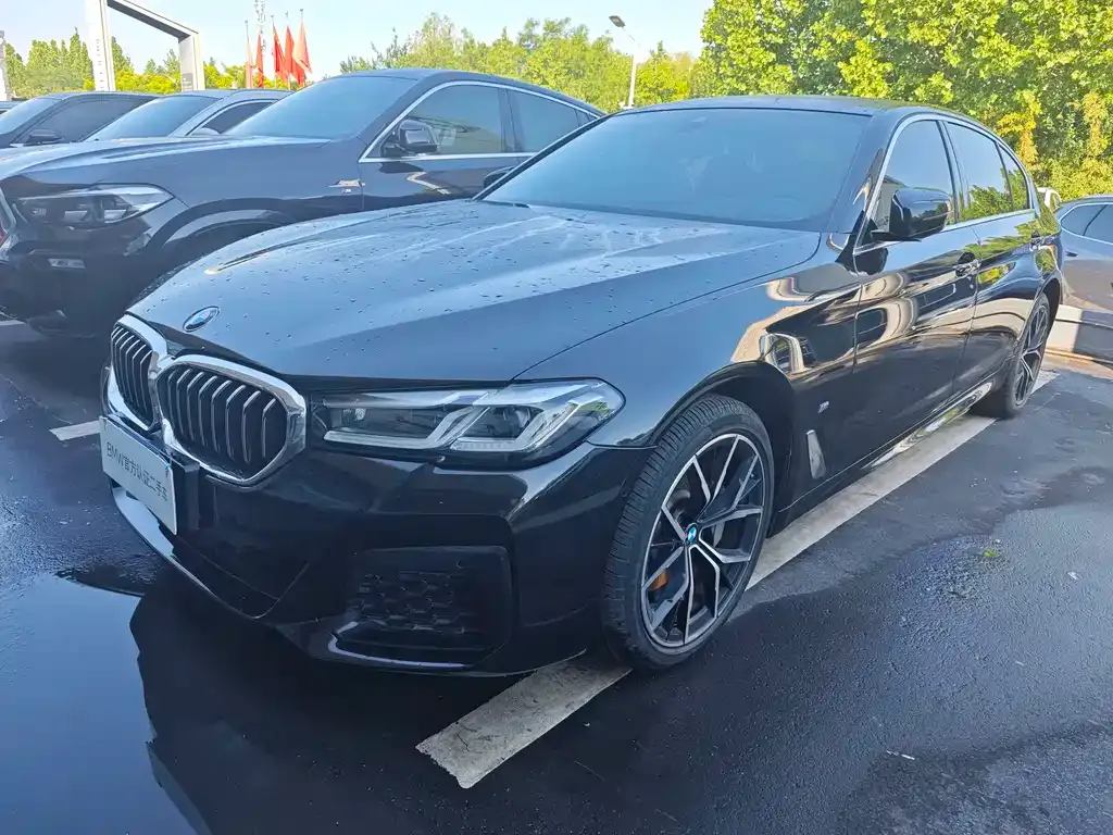 BMW 5 Series 2022 из CN, фото 1