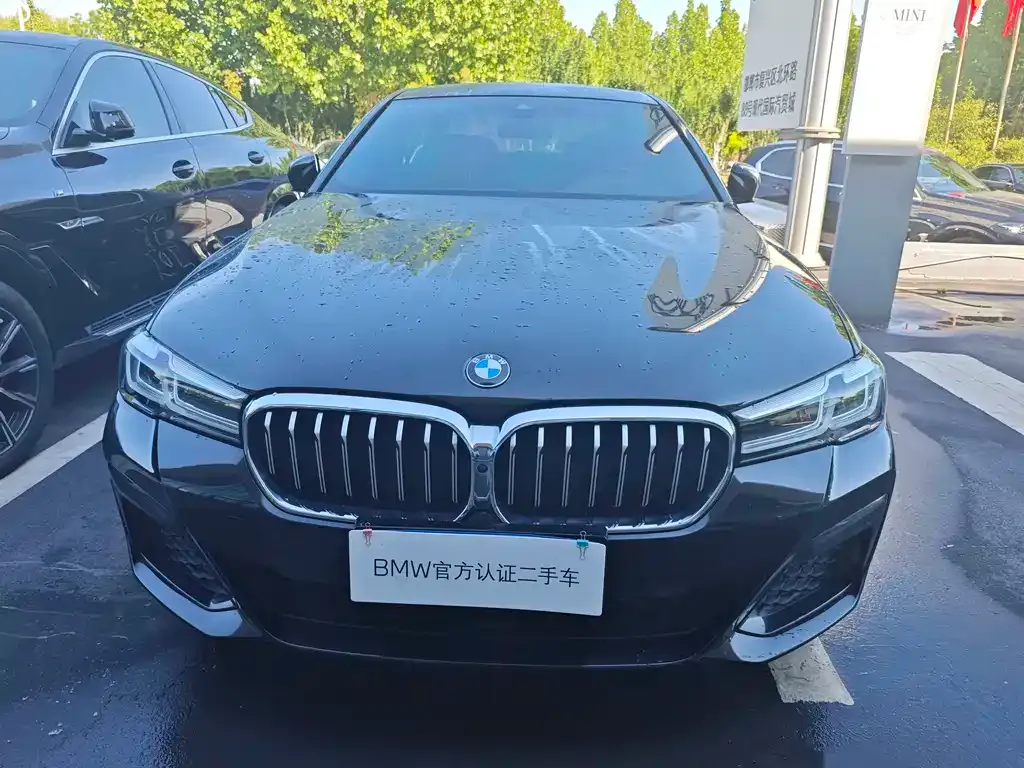 BMW 5 Series 2022 из CN, фото 9