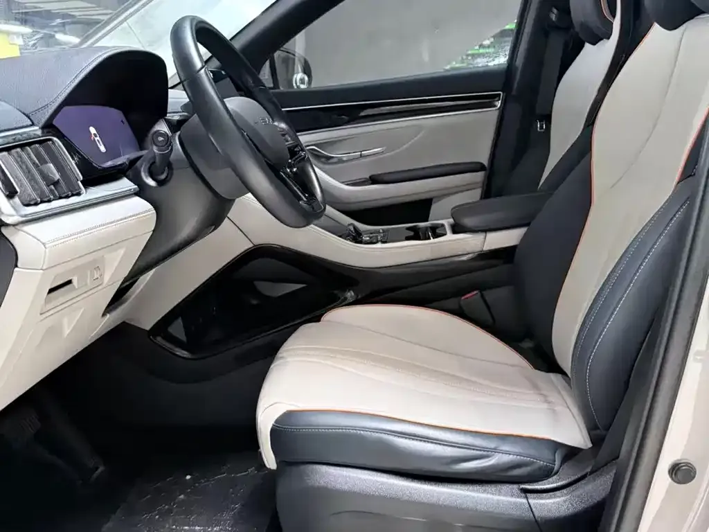 BYD PLUS New Energy — фото 10